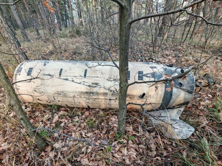 Руководители домов для детей и пожилых людей рассказали о ракетной атаке в Воронеже