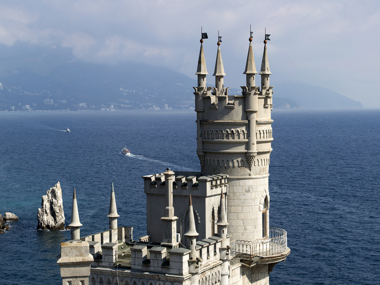 РИА Новости: Спасённая у «Ласточкиного гнезда» Муся снова живёт обычной кошачьей жизнью