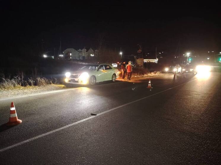 Смертельный наезд: пешеход погиб при переходе дороги в неположенном месте в Находке