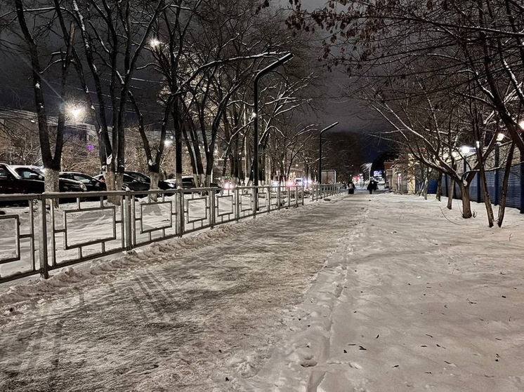 К уборке снега в Вологде подключили УК, соцучреждения и бизнес