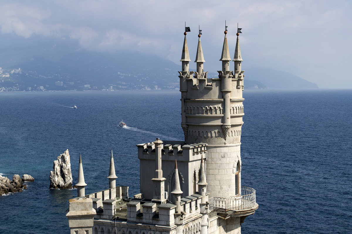 Спасённая у «Ласточкиного гнезда» кошка Муся полностью восстановилась