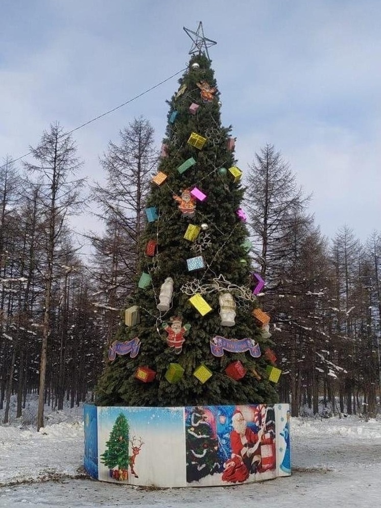 Магадан начинает подсвечиваться к Новому году: установлены первые праздничные ели