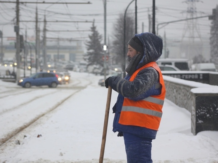 Уборка территории у цирка от снега обойдется тулякам в 1 млн рублей