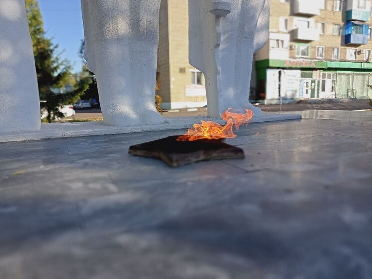 Саратовские поисковые отряды нашли останки 114 красноармейцев