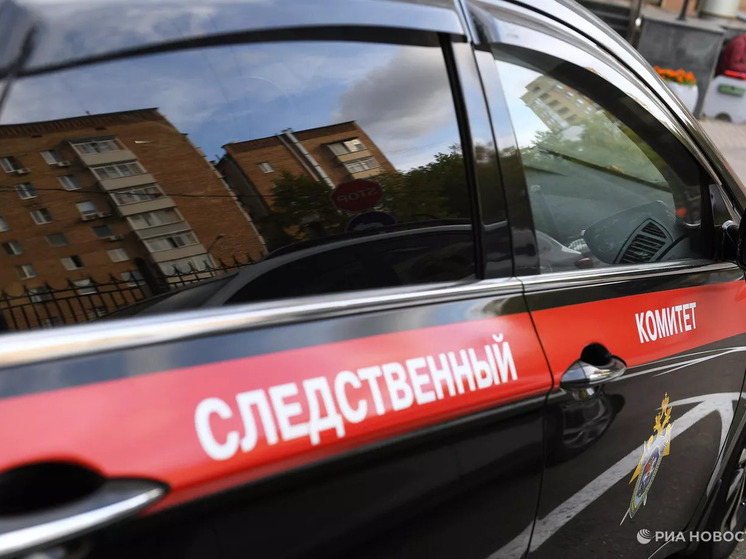 СК РФ расследует смертельную атаку ВСУ на Алешки