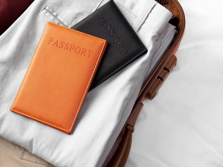 В Красноярском крае троих иностранцев лишили российского гражданства за совершение тяжких преступлений