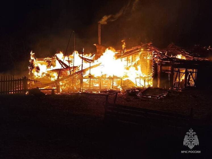 Хозяин дома пострадал во время пожара в Тверской области