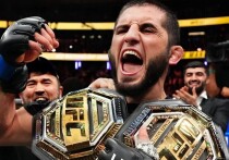 Несколько бойцов выразили желание побороться за титул. 