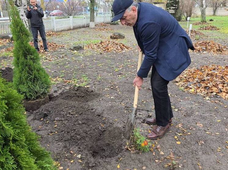 Дагестан передал декоративные туи для озеленения округа в Запорожской области