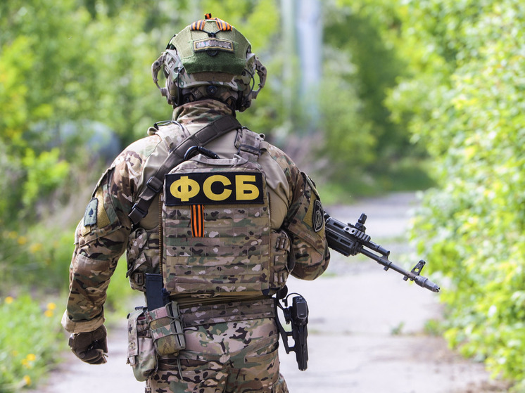 В Псковской области задержан мужчина, пытавшийся поджечь здание мэрии