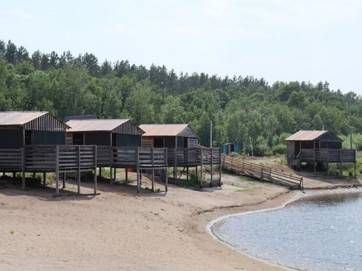 За 10 лет в Амурской области выдали более 12,5 тысячи дальневосточных гектаров