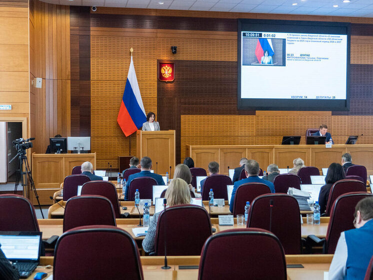 Более 47 миллиардов рублей направят на образование и здравоохранение Амурской области в 2026 году