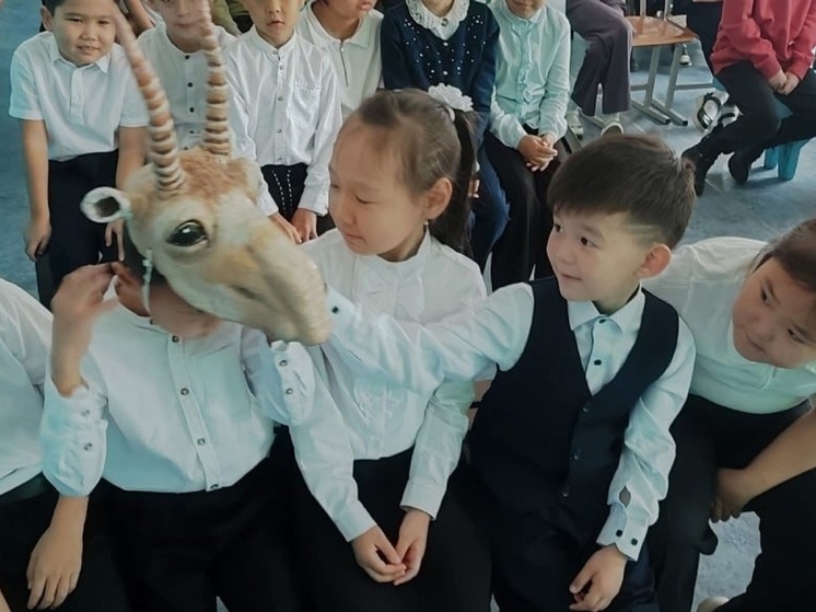 В школе Калмыкии прошел экологический урок