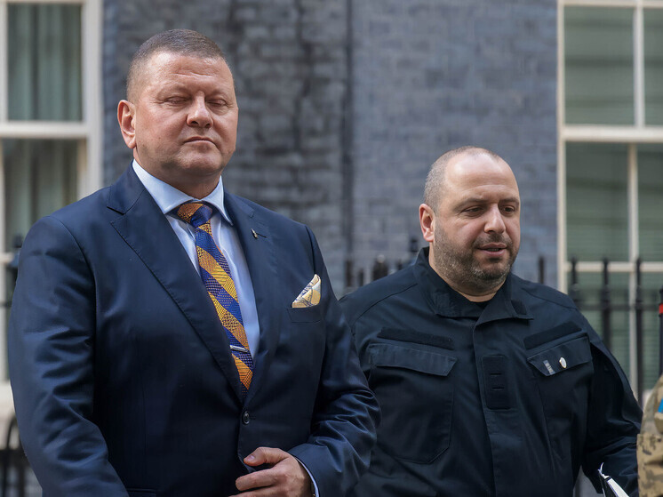 Западные союзники сделали ставку на Залужного