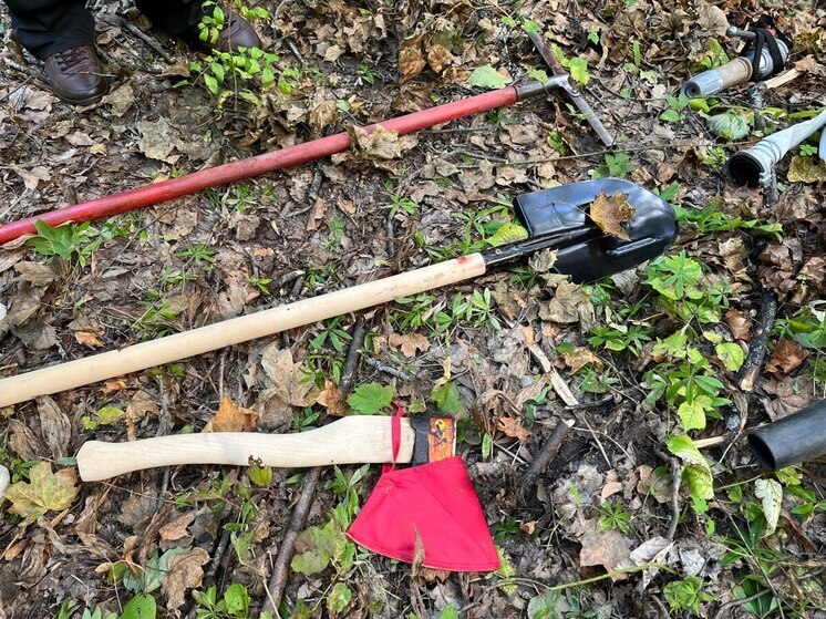 В Пугачеве рукояткой топора чуть не убили местного жителя