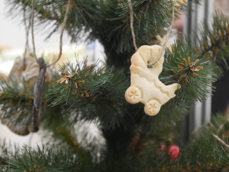 Живые ели установят на площадях и в парках Вологды к Новому году