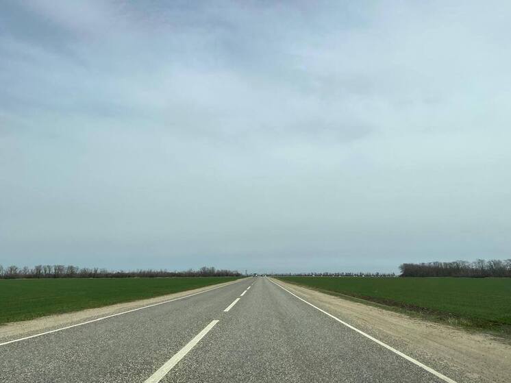 На Ставрополье завершился сев озимых на площади 2 млн гектаров