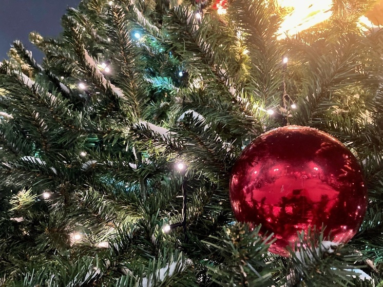 Вологжанам предлагают сделать коника на палке для конкурса (0+)