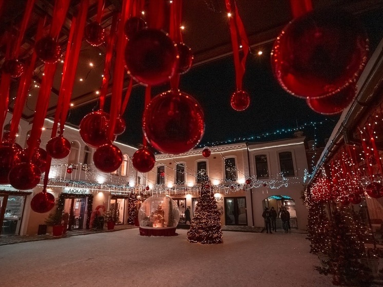 Омск закупит праздничные украшения в форме снегирей