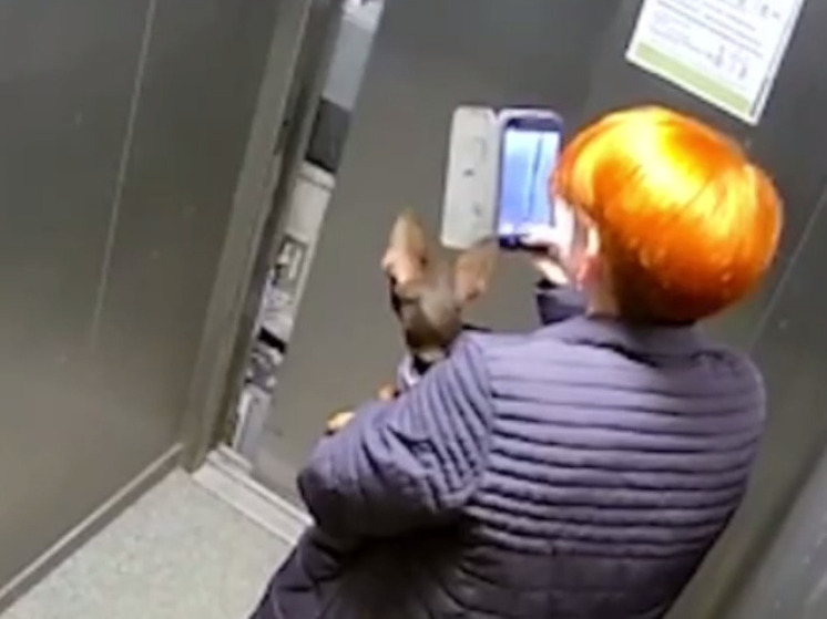 Женщина с собакой чудом выжила после падения лифта в новостройке Краснодара