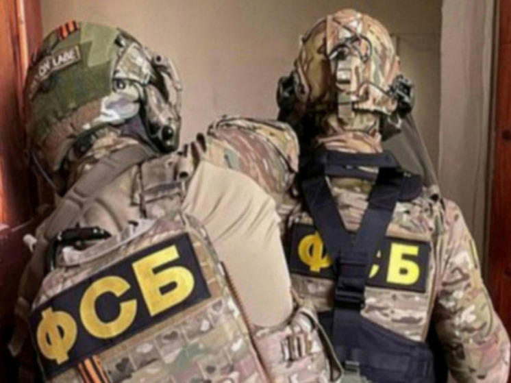 Жительница Бийска получила 16 лет колонии по делу о госизмене