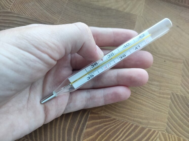 За неделю с 10 по 16 ноября в Алтайском крае острую респираторную вирусную инфекцию подхватило на 40 процентов больше местных жителей, чем за предыдущую неделю. В основном у населения выявляют риновирусы и риносинцитиальные вирусы.