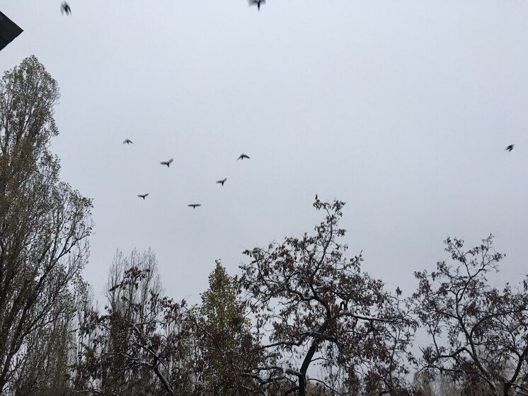 Власти Воронежа пояснили происхождение громких звуков в городе