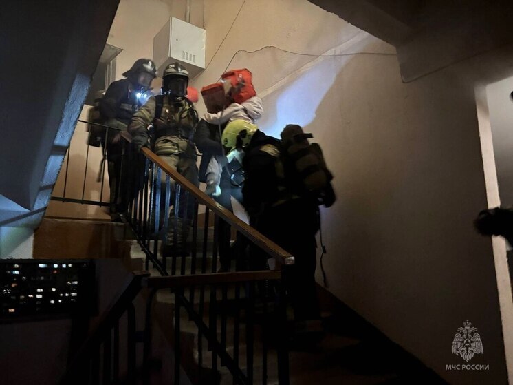 Из-за пожара в йошкар-олинской многоэтажке эвакуировали четырех человек