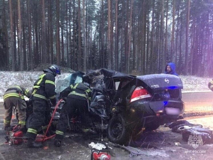 За последние сутки в Ленобласти произошло 10 пожаров и 3 ДТП