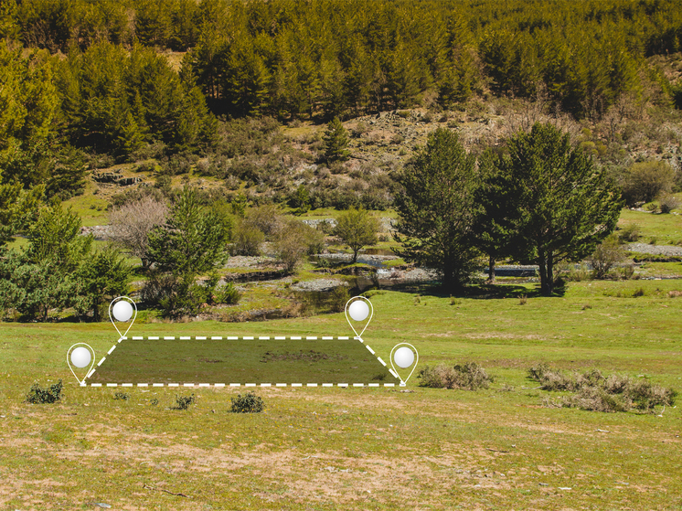 В Самаре Росреестр в ноябре провел горячую линию о земельных участках