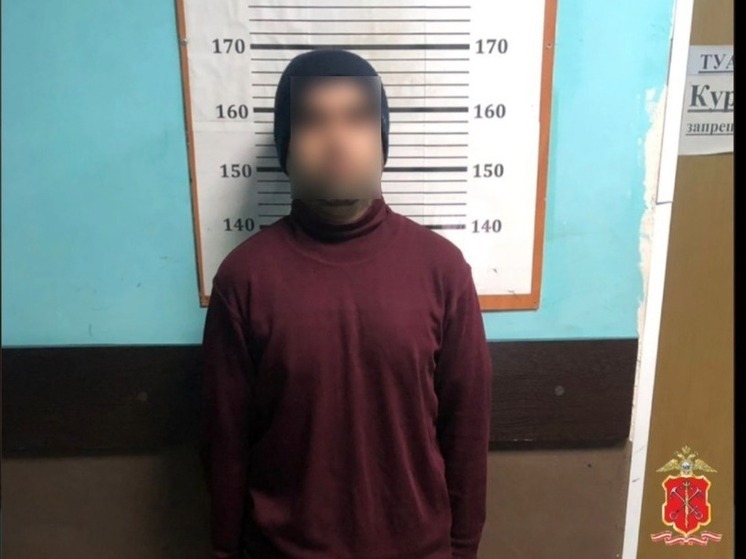 В Петербурге задержали извращенца за приставания к 13-летней девочке в метро