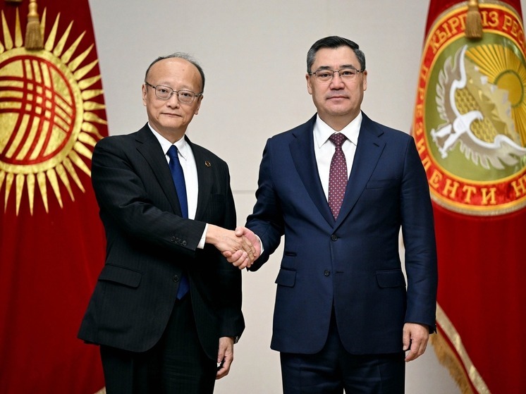 Садыр Жапаров и президент АБР обсудили проекты в энергетике