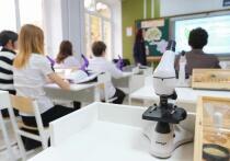 Школа №2 в городе Каменка-Днепровская Запорожской области получит новую теплицу и современный кабинет химии