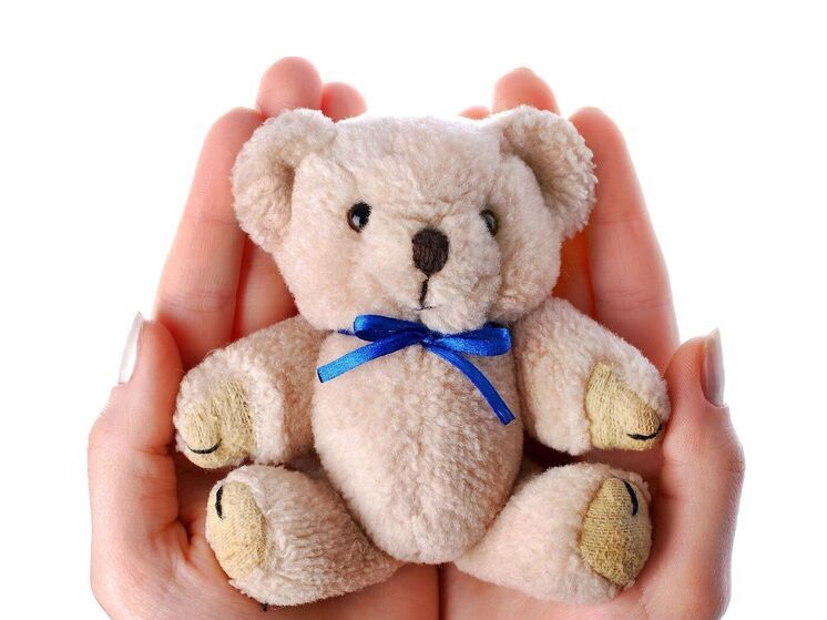 В Иванове две дамы не поделили плюшевого мишку