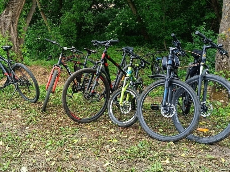 Двадцать четыре станции велопроката откроют в ЛНР в 2026 году