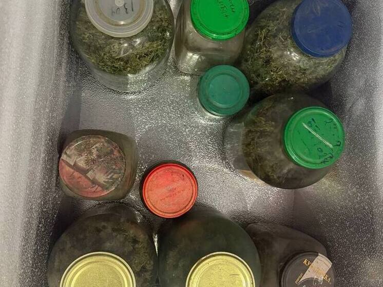 Артиллерийский порох и более 18 кг каннабиса обнаружили у жителя Ясиноватой