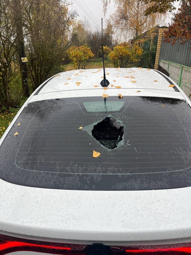 46-летнего брянца задержали за разбитую иномарку