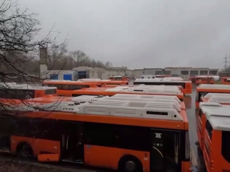 Топ-менеджеры нижегородской транспортной компании арестованы за финансовые махинации