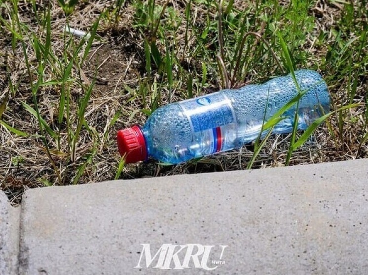 Минприроды назвало причины нарушения графика вывоза мусора в Забайкалье