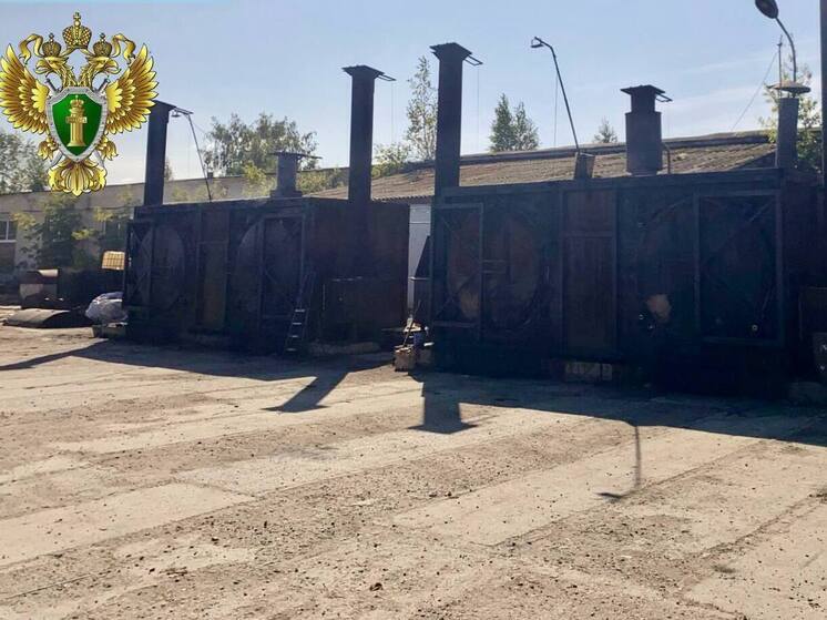 Суд закрыл углевыжигательные печи в Каслях