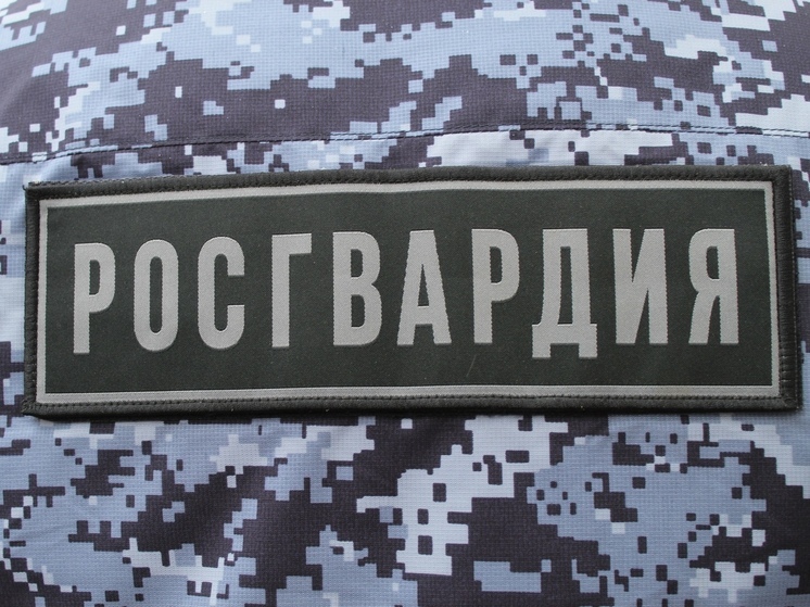 Росгвардейцы пресекли два хищения в магазинах Вологды