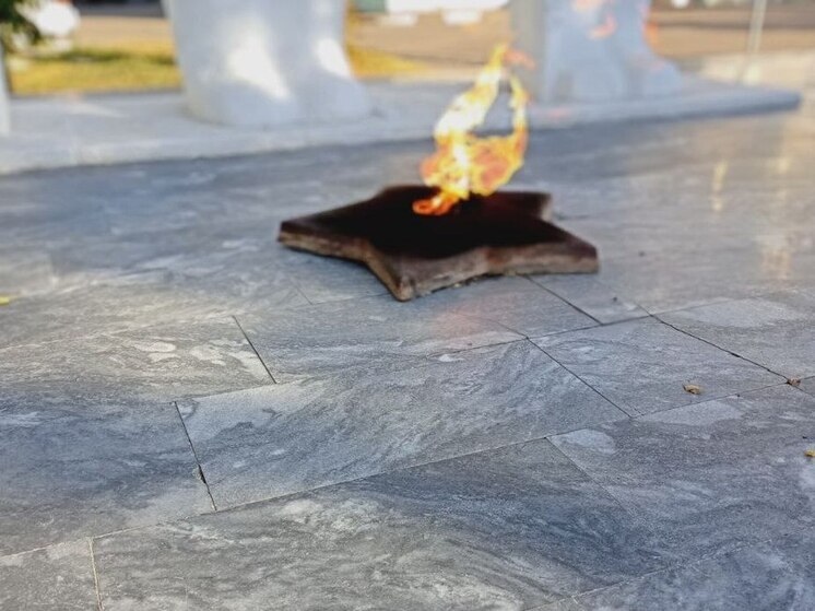 Саратовские поисковики начнут работать в зоне СВО с 2026 года