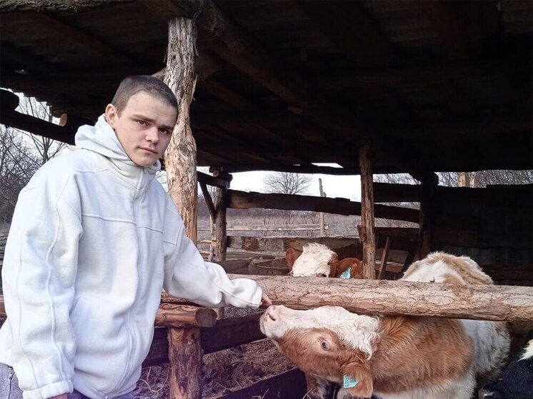 Белгородский студент купил двух коров на деньги соцконтракта