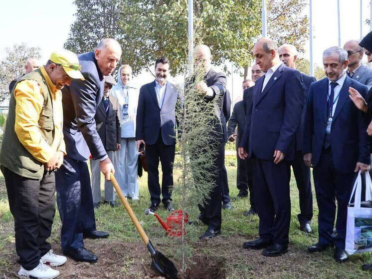Дагестан и Иран посадили дерево мира и дружбы