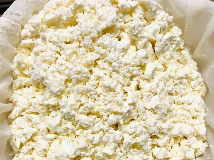 В твороге ООО «Новогуровский Молочный Завод» нашли превышение дрожжей