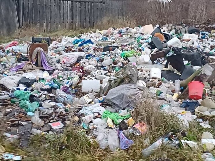 В Коноше чиновники игнорируют мусорные завалы в центре посёлка