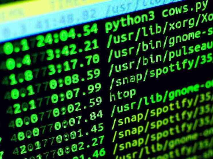 Затраты воронежских предприятий на кибербезопасность выросли на четверть в 2024 году