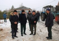 Делегация специалистов лесного хозяйства Омской области впервые посетила ГАУ «Татарский лесхоз» в Новосибирской области