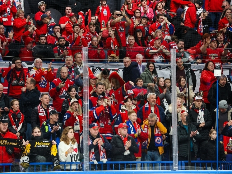 В Ярославле на матче «Локомотива» шайба прилетела в голову ребенку