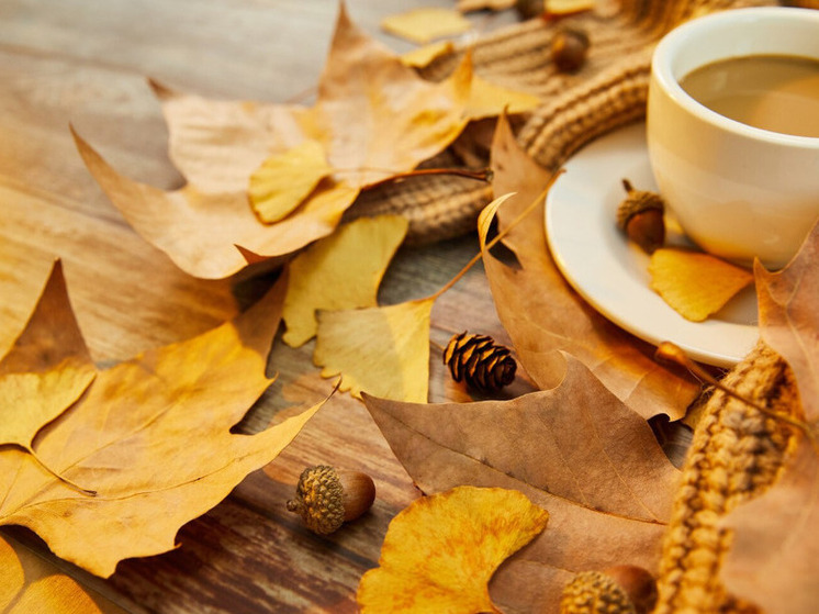 20 градусов тепла прогнозируют в Херсонской области 21 ноября